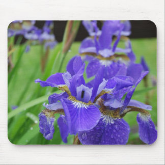 Irises in the Garden Mouse Pad