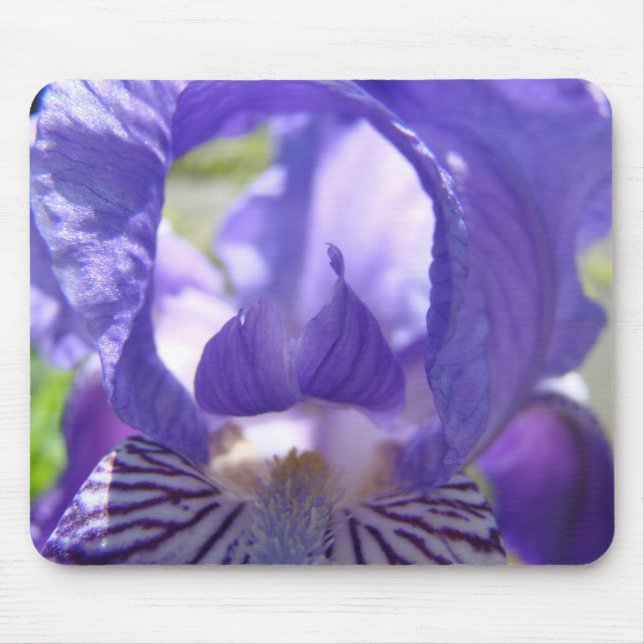 IRISES IPurple ris Flowers MOUSE PADS MOUSEPAD (Front)