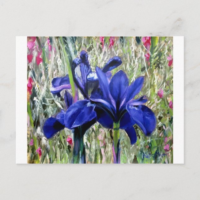 Irises oil painting postcard (Front)
