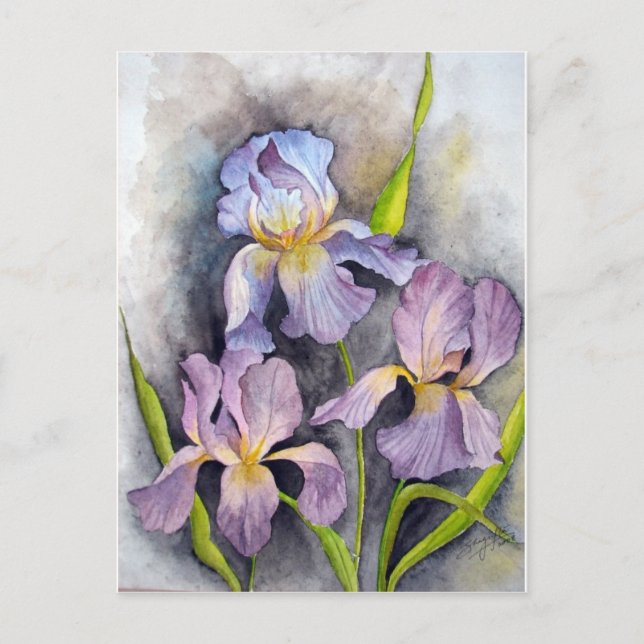 Irises Postcard (Front)