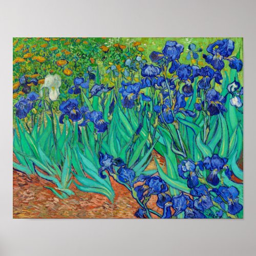 Irises Poster