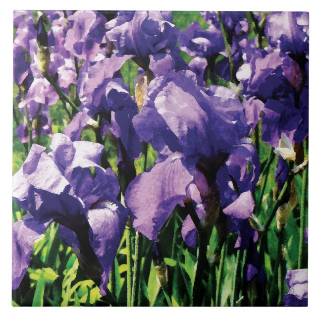 Irises Princess Royal Smith Ceramic Tile (Front)