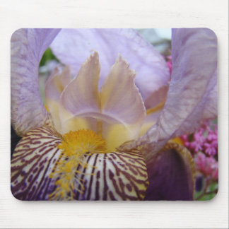 IRISES Purple Iris Flowers MOUSE PADS MOUSEPAD