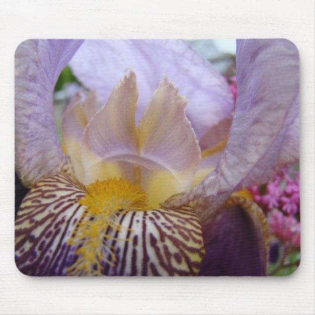 IRISES Purple Iris Flowers MOUSE PADS MOUSEPAD (Front)