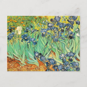 Irises - Van Gogh - c1889 Postcard