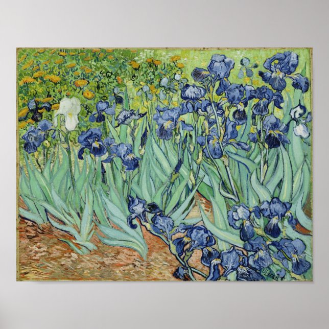 Irises - Van Gogh Print (Front)