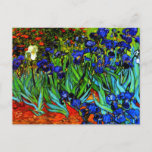Irises, Van Gogh's famous floral painting Postcard<br><div class="desc">Irises,  famous fine art painting by Vincent van Gogh</div>