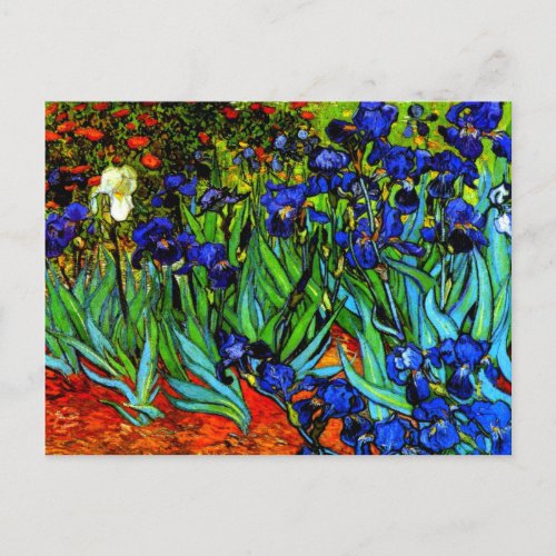 Irises Van Goghs famous floral painting Postcard