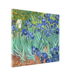 Irises | Vincent Van Gogh Canvas Print