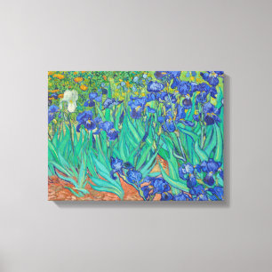 Irises Vincent van Gogh Canvas Print
