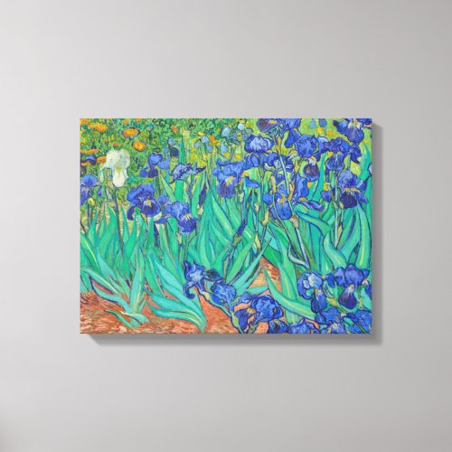 Irises Vincent van Gogh Canvas Print