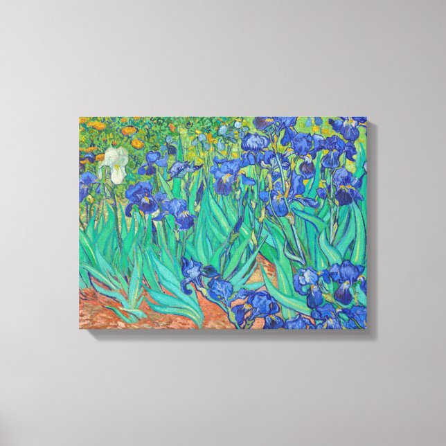 Irises Vincent van Gogh Canvas Print (Front)