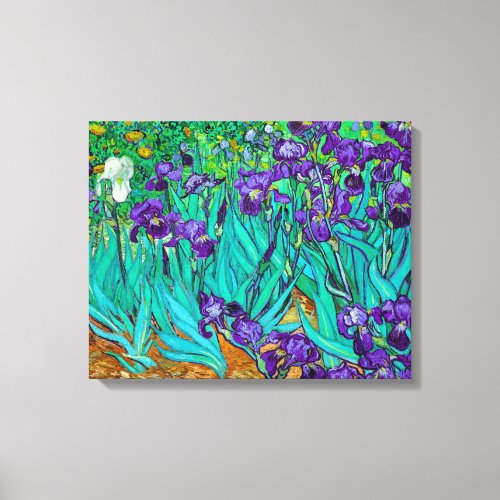 Irises Vincent van Gogh  Canvas Print