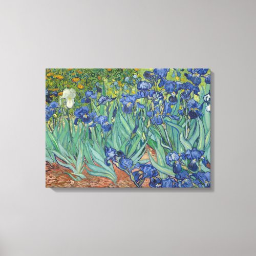 IRISES VINCENT VAN GOGH Canvas Print