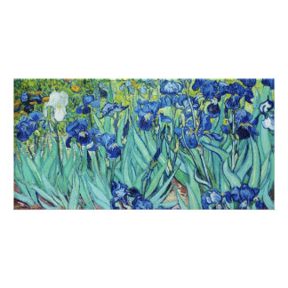 Irises, Vincent van Gogh. Card
