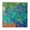 Irises, Vincent van Gogh