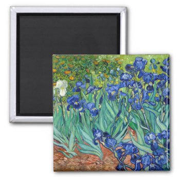 Irises Vincent Van Gogh Floral Vintage Painting Magnet by Then_Is_Now at Zazzle