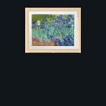 Irises | Vincent van Gogh Framed Art<br><div class="desc">Irises (1889) by Dutch post-impressionist artist Vincent Van Gogh. Original landscape painting is an oil on canvas showing a garden of blooming iris flowers. 

Use the design tools to add custom text or personalize the image.</div>