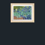Irises | Vincent van Gogh Framed Art<br><div class="desc">Irises (1889) by Dutch post-impressionist artist Vincent Van Gogh. Original landscape painting is an oil on canvas showing a garden of blooming iris flowers. 

Use the design tools to add custom text or personalize the image.</div>