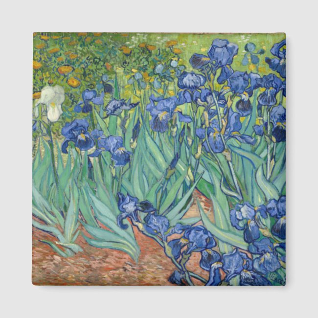 Irises | Vincent Van Gogh Magnet