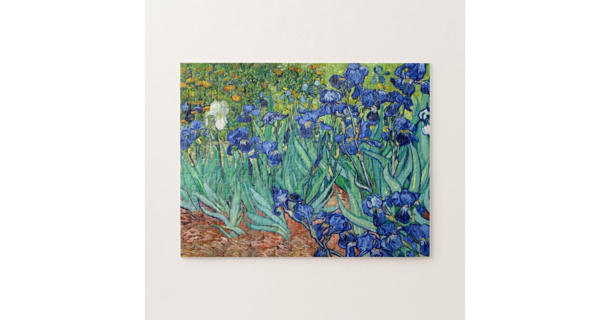 Masterpiece Story: Irises by Vincent van Gogh