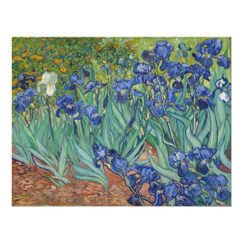 Irises Vincent Van Gogh Photo Print