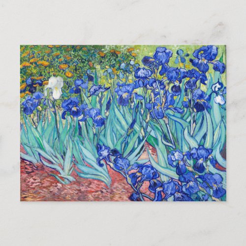 Irises  Vincent van Gogh  Postcard