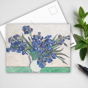 Irises, Vincent van Gogh Postcard