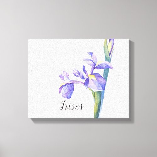 Irises Watercolor canvas Print