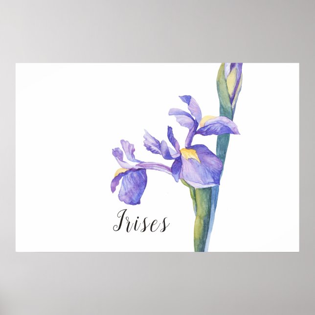 Irises Watercolor Floral Poster (Front)
