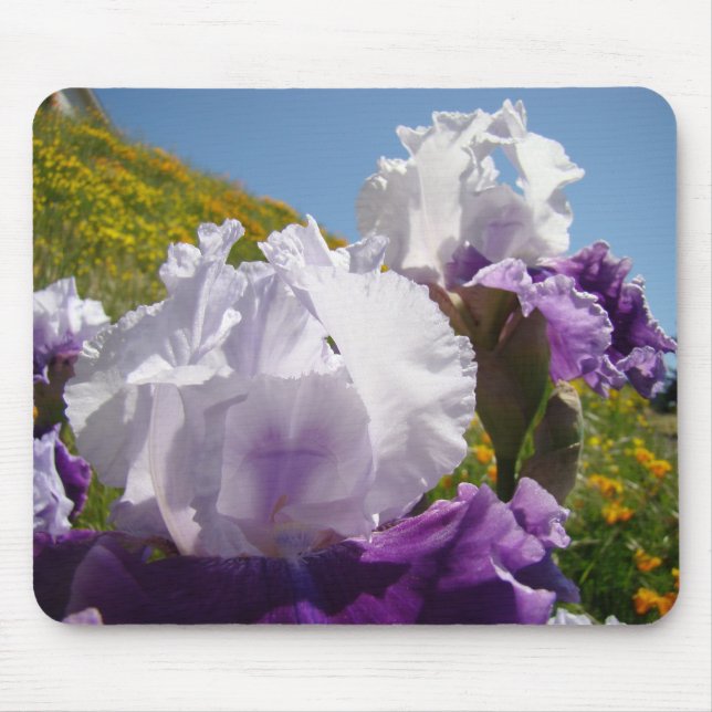 Irises White Purple Iris Flowers mousepad Hillside (Front)