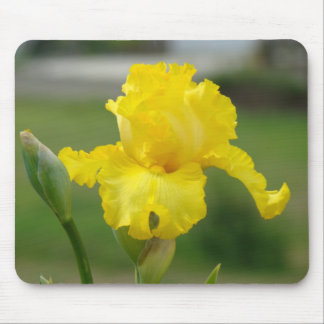 IRISES Yellow Iris Flowers MOUSE PADS MOUSEPAD