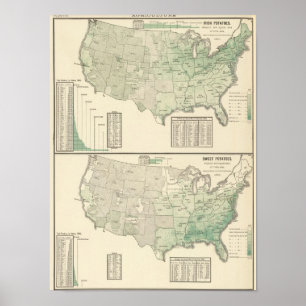 Irish and sweet potatoes and hay poster