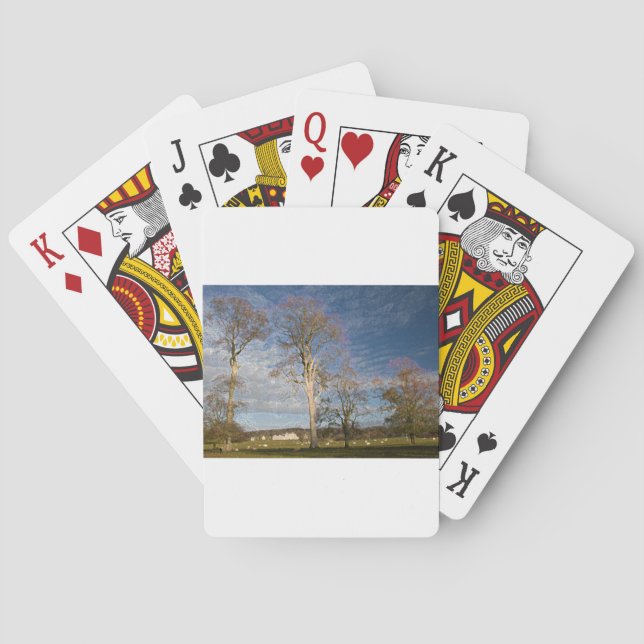 Irish Beech Trees Poker Cards (Back)