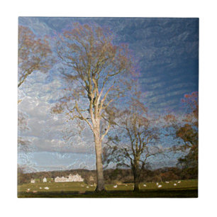 Irish Beech Trees Tile