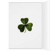 Irish Blessing Card (Inside (Left))