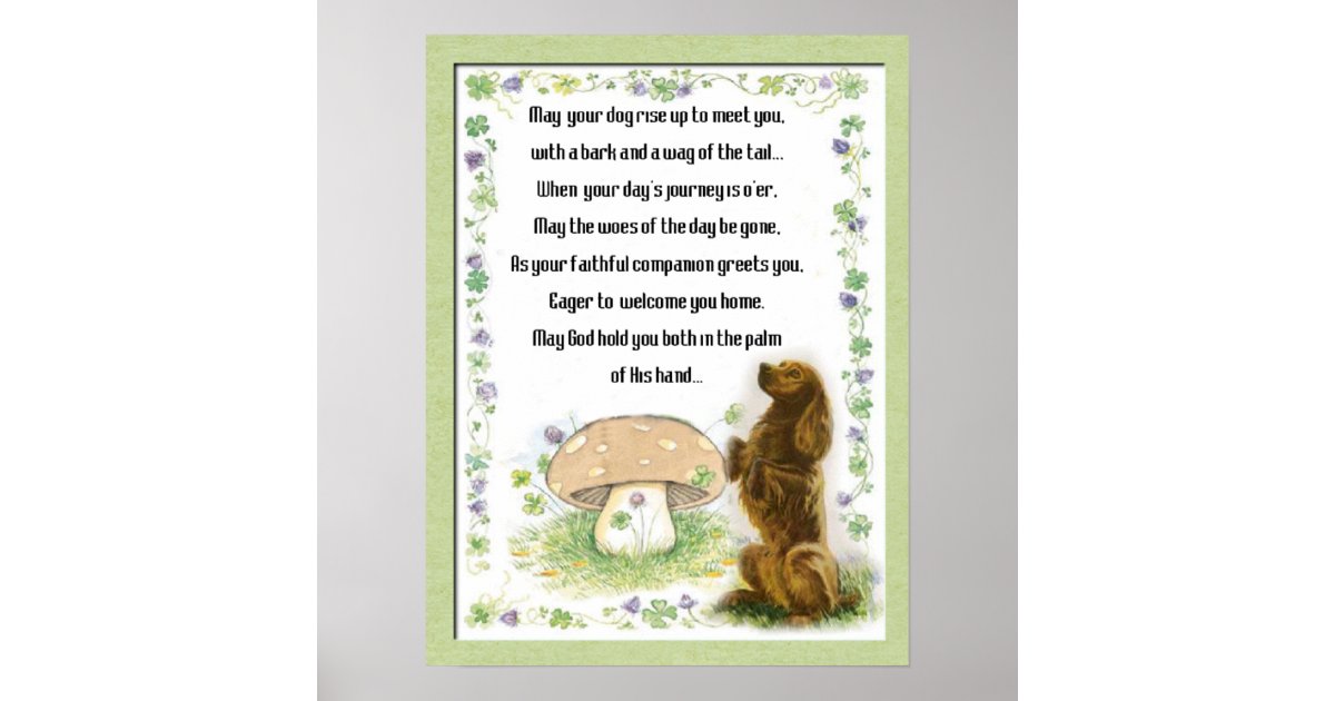 Irish Blessing of the Dogs Poster Zazzle