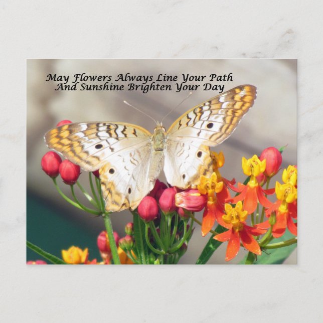 Irish Blessing Postcard (White Peacock) (Front)