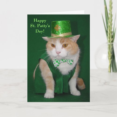 Irish Bubba Kitty Blessing Card