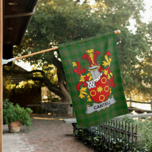  Irish Cantell Coat of Arms Family Crest Ireland House Flag