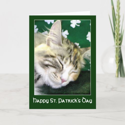 Irish Cat Dreams St Patricks Day Card