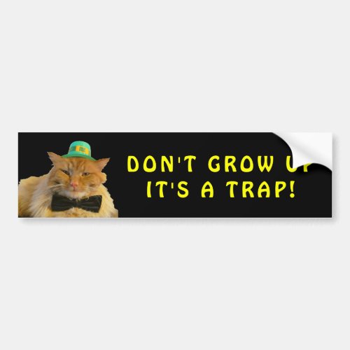 Irish Cat Says Dont Grow Up Meme Bumper Sticker