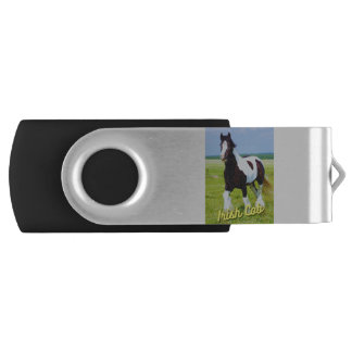 Irish Cob In Field Flash Drive