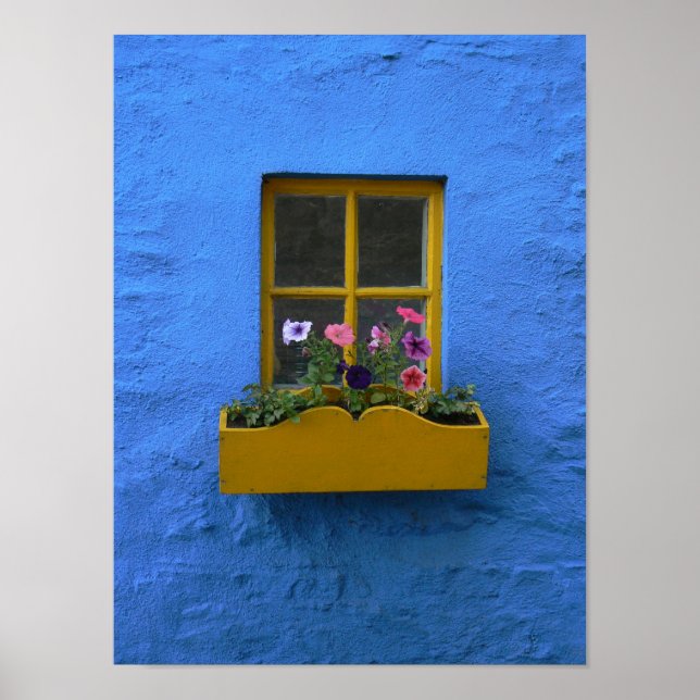 Irish Cottage Windowbox Poster (Front)