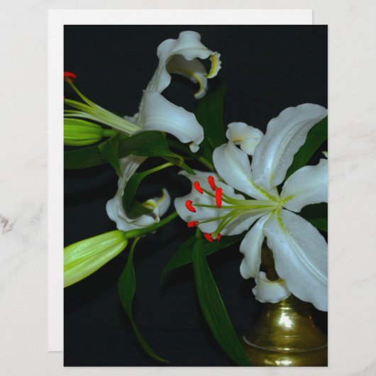 Irish Design-Brass and Flower Collection (Front/Back)