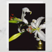 Irish Design- Brass and Flower Collection (Front/Back)