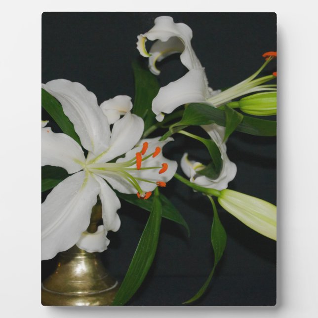 Irish Design-Brass and Flower Collection Plaque (Front)