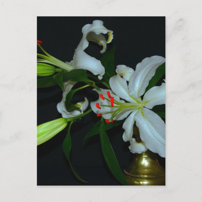 Irish Design-Brass and Flower Collection Postcard (Front)