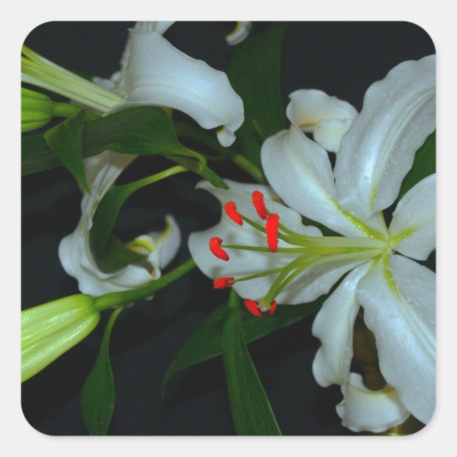 Irish Design-Brass and Flower Collection Square Sticker (Front)