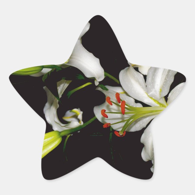 Irish Design- Brass and Flower Collection Star Sticker (Front)